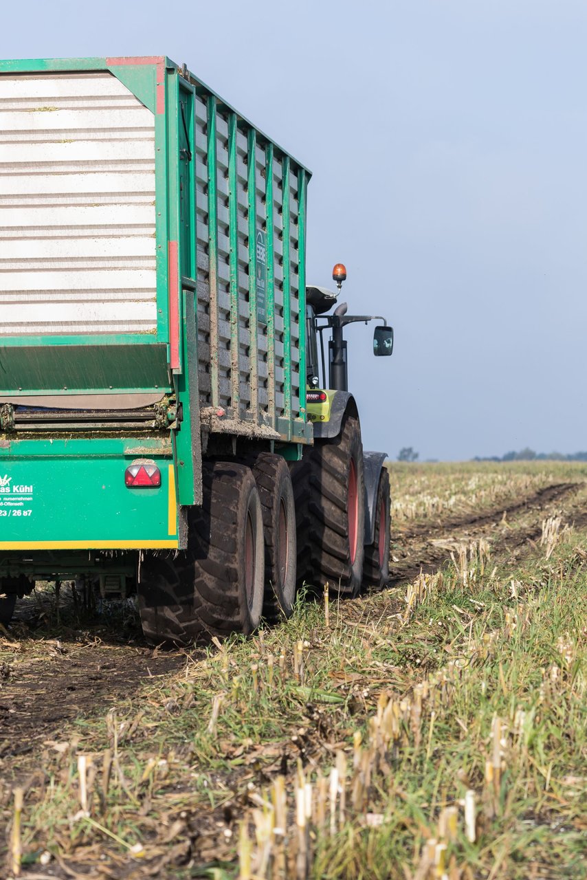 Bild 158 - Maisernte